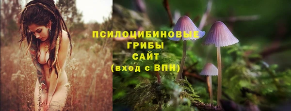 spice Абдулино