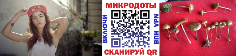 где купить блэк спрут ONION Галлюциногенные грибы Psilocybe Заринск